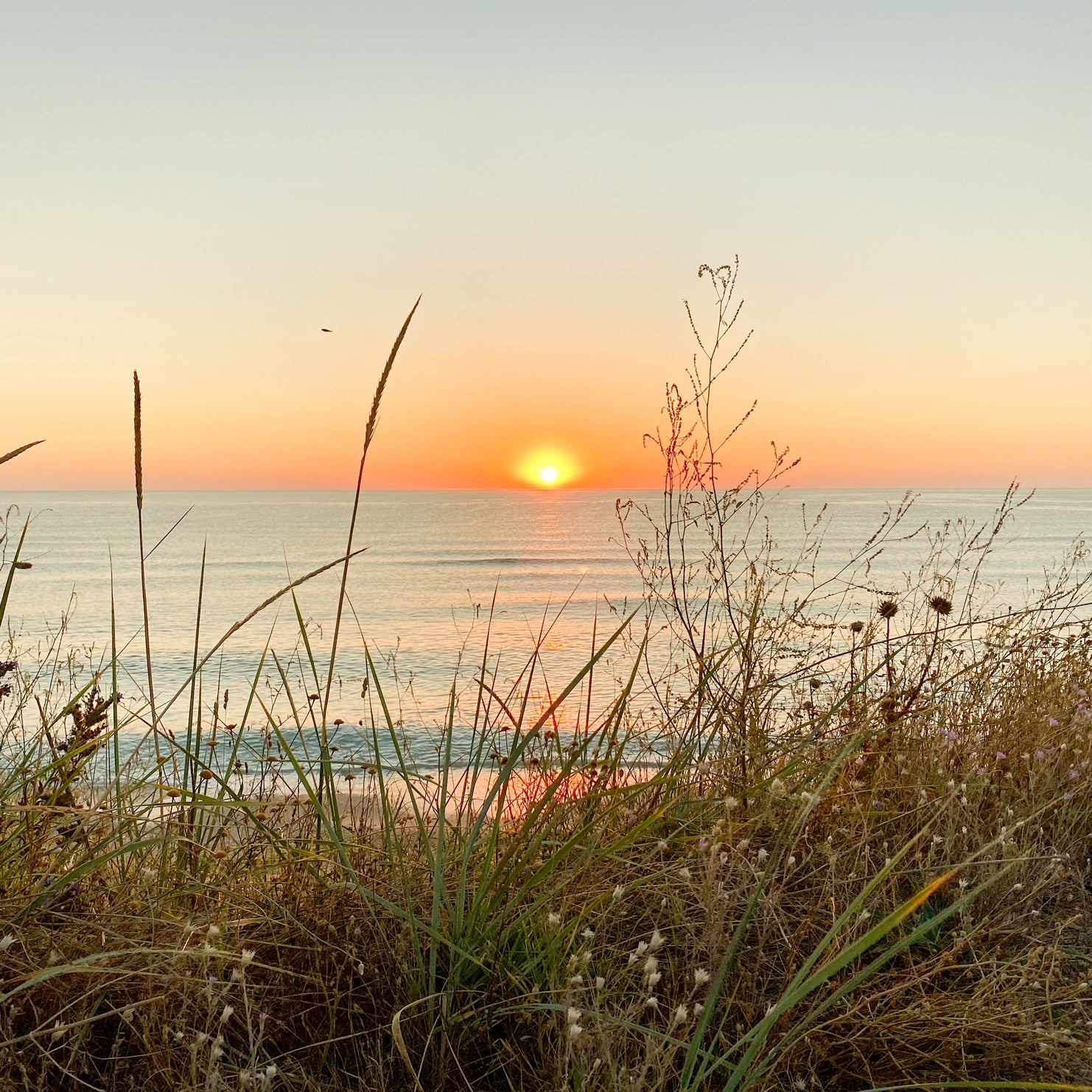 Sunrise