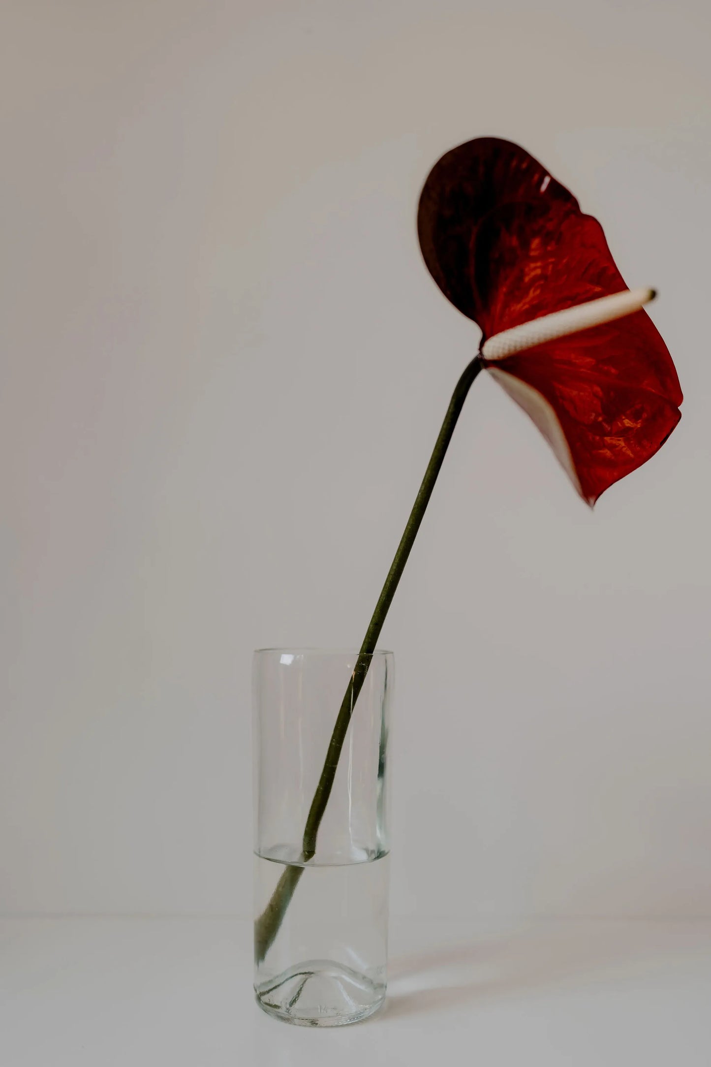 Tulip vase