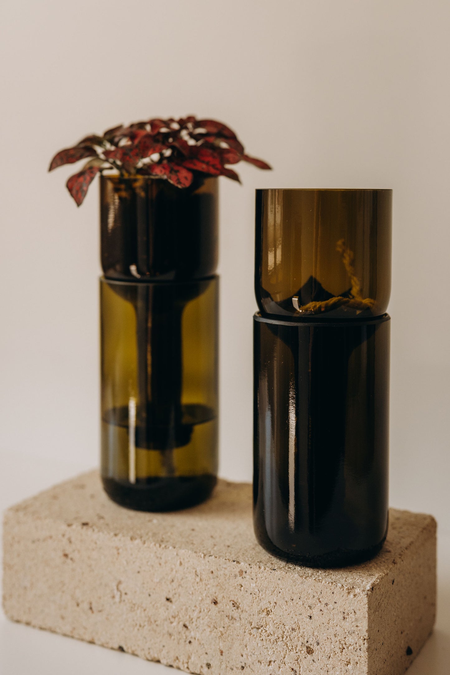 Self-Watering Planter