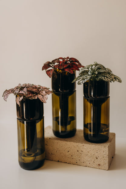 Self-Watering Planter