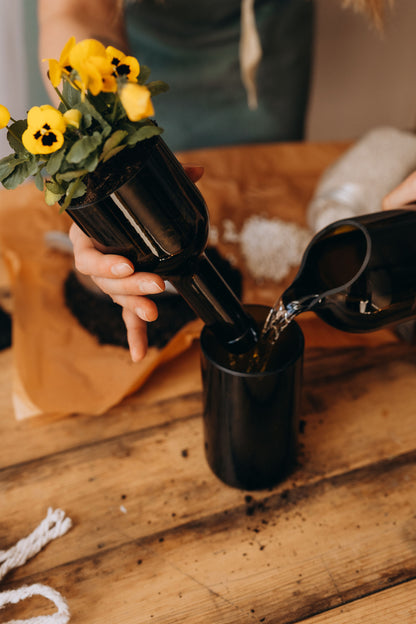 Self-Watering Planter
